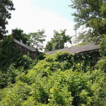 Sloth (USA-2) : This Was Not the Scariest Place on Our Last Vacation